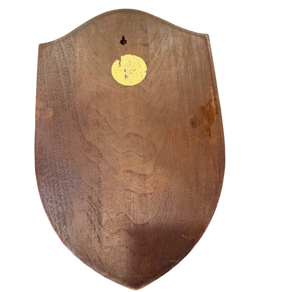 Vintage Wood-Look Oberg Family Crest Coat of Arms Wall Plaque Shield 15x9"‎ - Picture 4 of 8